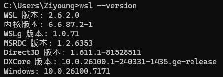 查看 WSL 版本信息